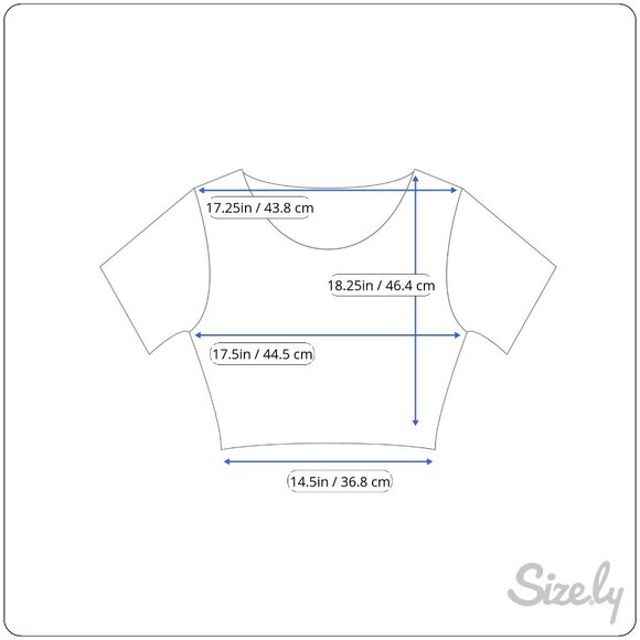 RO & DE Sleeveless Pleated Crop Top Medium Anthropologie Button Back Closure - Picture 5 of 5